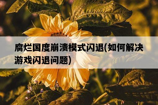 腐爛國度崩潰模式閃退，如何解決游戲閃退問題-圖1