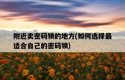附近賣密碼鎖的地方，如何選擇最適合自己的密碼鎖-圖1