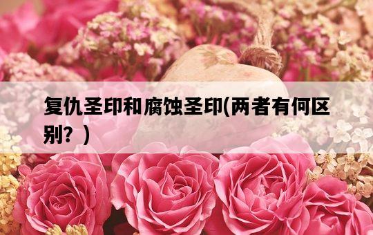 復仇圣印和腐蝕圣印，兩者有何區別？-圖1