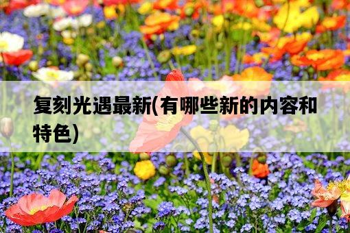 復刻光遇最新，有哪些新的內容和特色-圖1