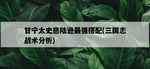 甘寧太史慈陸遜最強搭配，三國志戰術分析-圖1