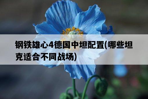 鋼鐵雄心4德國中坦配置，哪些坦克適合不同戰場-圖1