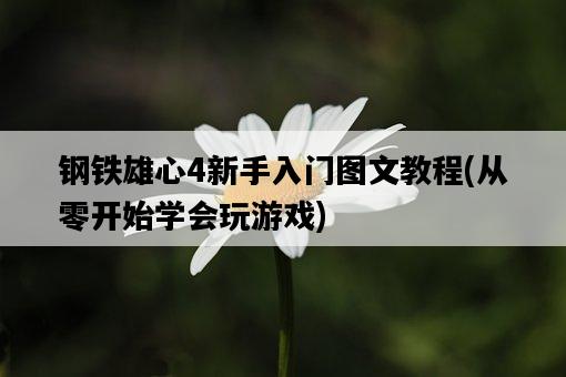 鋼鐵雄心4新手入門圖文教程，從零開始學會玩游戲-圖1