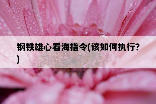 鋼鐵雄心看海指令，該如何執行？-圖1