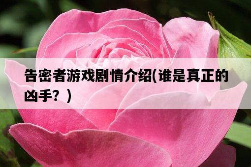 告密者游戲劇情介紹，誰是真正的兇手？-圖1