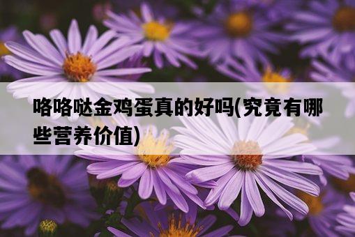 咯咯噠金雞蛋真的好嗎，究竟有哪些營養價值-圖1