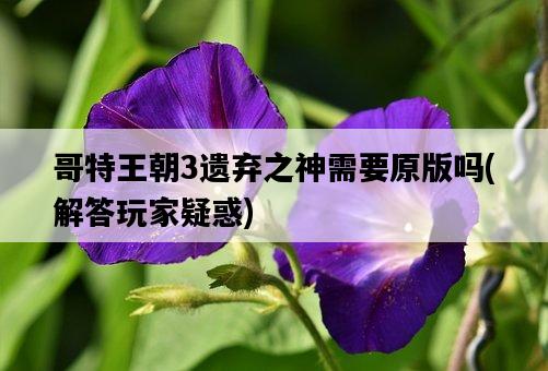哥特王朝3遺棄之神需要原版嗎，解答玩家疑惑-圖1