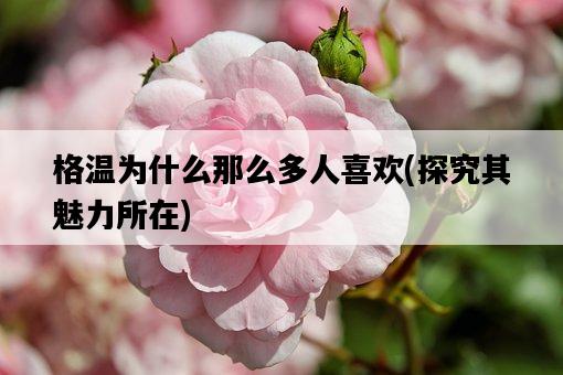 格溫為什么那么多人喜歡，探究其魅力所在-圖1