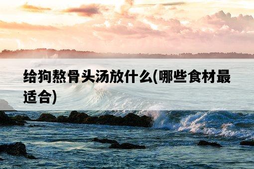 給狗熬骨頭湯放什么，哪些食材最適合-圖1