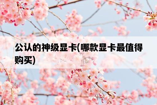 公認的神級顯卡，哪款顯卡最值得購買-圖1