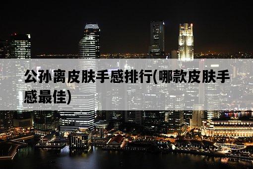 公孫離皮膚手感排行，哪款皮膚手感最佳-圖1