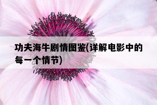 功夫海牛劇情圖鑒，詳解電影中的每一個情節-圖1