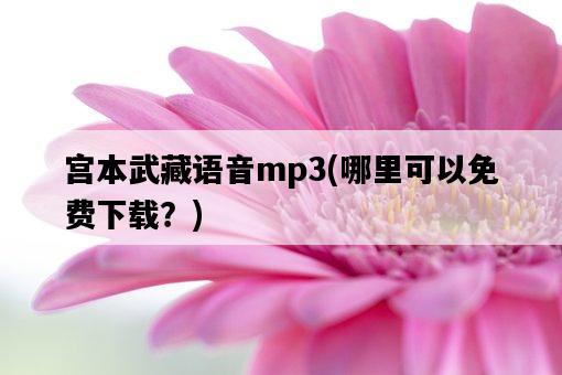宮本武藏語音mp3，哪里可以免費下載？-圖1