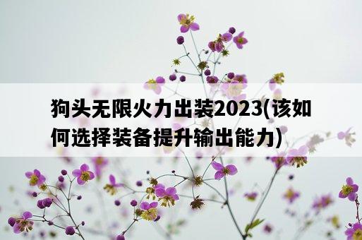 狗頭無限火力出裝2023，該如何選擇裝備提升輸出能力-圖1