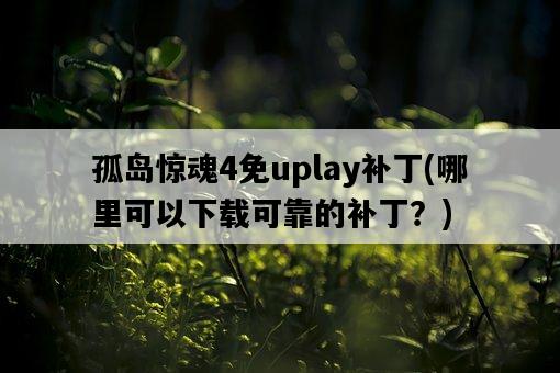 孤島驚魂4免uplay補丁，哪里可以下載可靠的補丁？-圖1