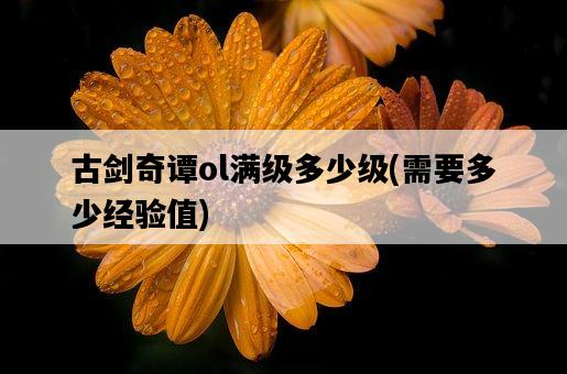 古劍奇譚ol滿級多少級，需要多少經驗值-圖1