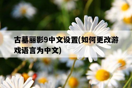 古墓麗影9中文設置，如何更改游戲語言為中文-圖1