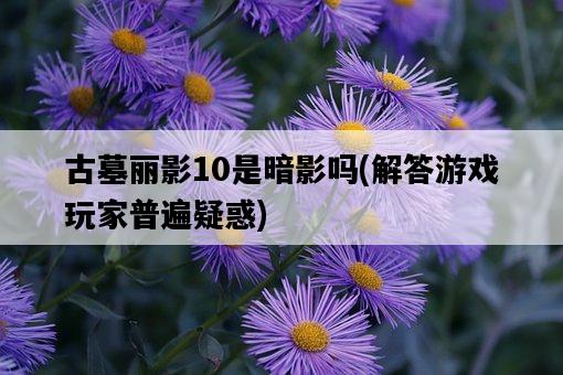 古墓麗影10是暗影嗎，解答游戲玩家普遍疑惑-圖1