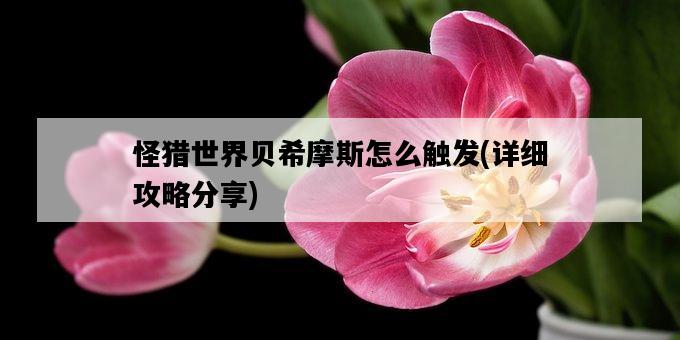 怪獵世界貝希摩斯怎么觸發，詳細攻略分享-圖1
