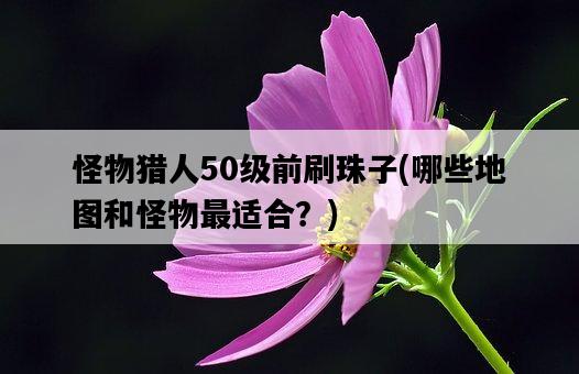 怪物獵人50級前刷珠子，哪些地圖和怪物最適合？-圖1