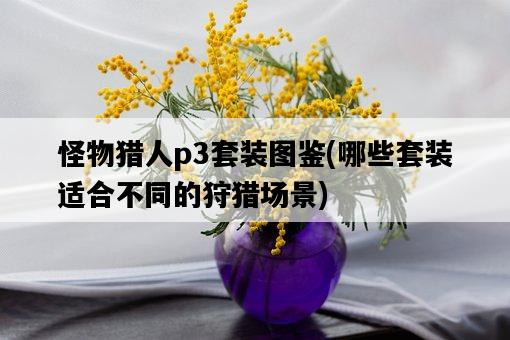 怪物獵人p3套裝圖鑒，哪些套裝適合不同的狩獵場景-圖1