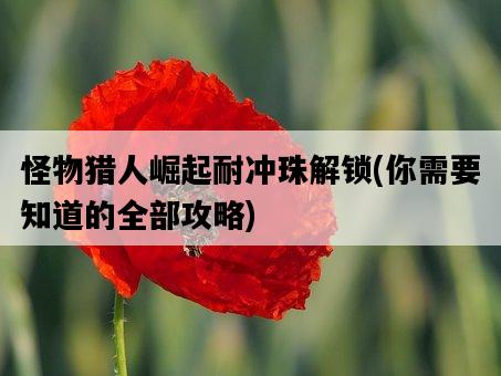 怪物獵人崛起耐沖珠解鎖，你需要知道的全部攻略-圖1