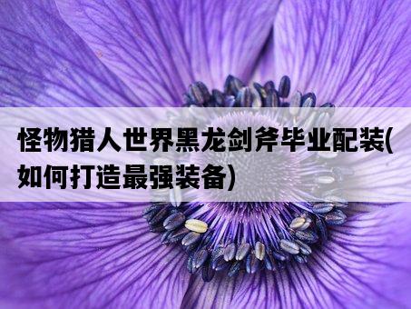 怪物獵人世界黑龍劍斧畢業配裝，如何打造最強裝備-圖1