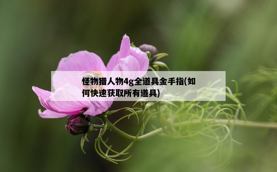 怪物獵人物4g全道具金手指，如何快速獲取所有道具-圖1