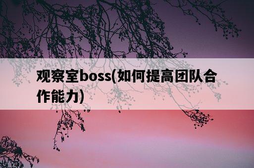 觀察室boss，如何提高團隊合作能力-圖1