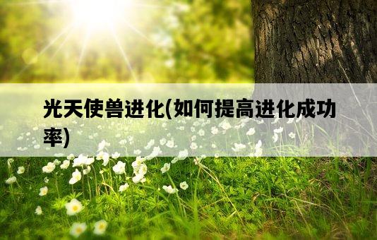 光天使獸進化，如何提高進化成功率-圖1