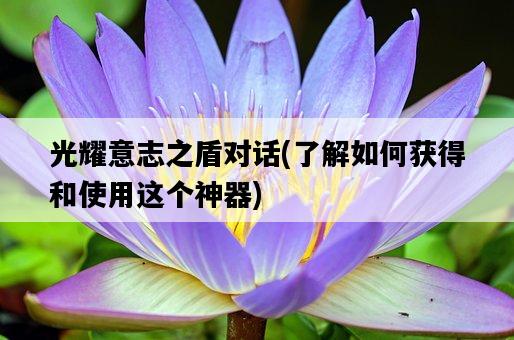 光耀意志之盾對話，了解如何獲得和使用這個神器-圖1