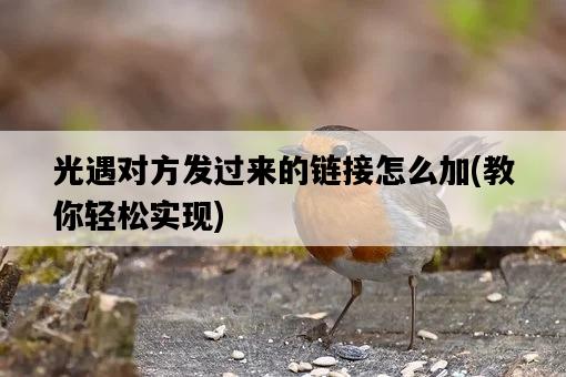 光遇對方發過來的鏈接怎么加，教你輕松實現-圖1