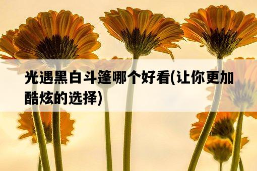 光遇黑白斗篷哪個好看，讓你更加酷炫的選擇-圖1