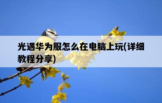 光遇華為服怎么在電腦上玩，詳細教程分享-圖1