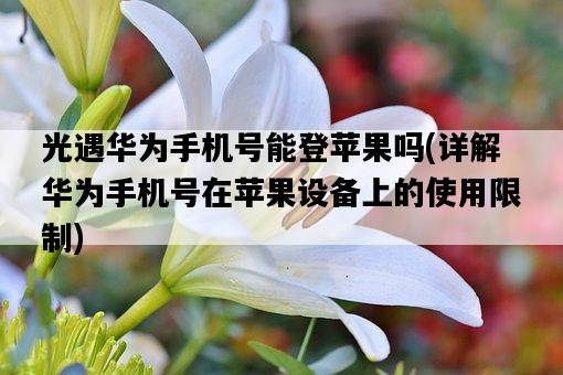 光遇華為手機號能登蘋果嗎，詳解華為手機號在蘋果設備上的使用限制-圖1