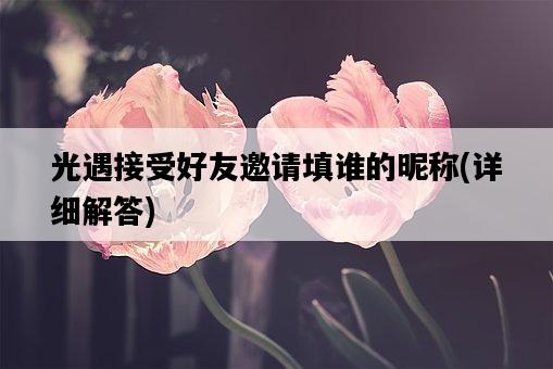 光遇接受好友邀請填誰的昵稱，詳細解答-圖1