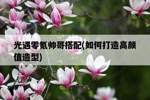光遇零氪帥哥搭配，如何打造高顏值造型-圖1