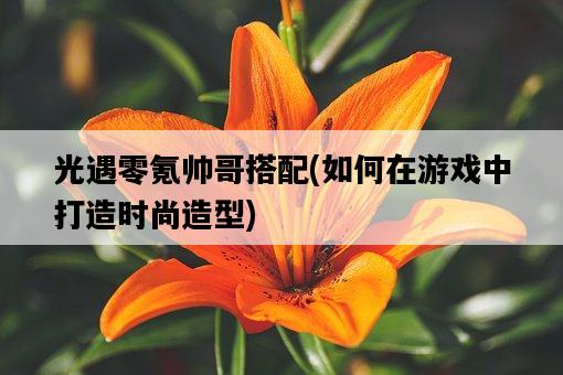光遇零氪帥哥搭配，如何在游戲中打造時尚造型-圖1