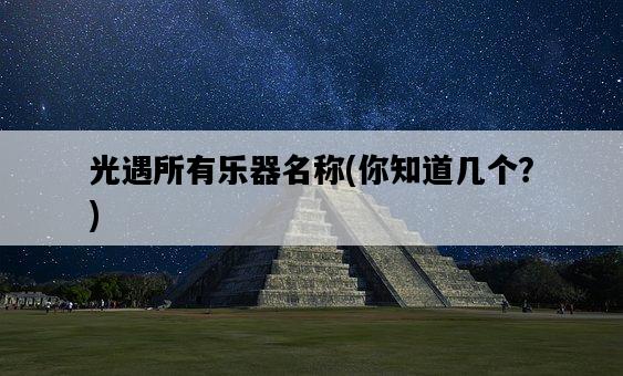光遇所有樂器名稱，你知道幾個？-圖1