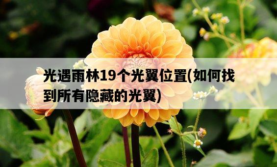 光遇雨林19個光翼位置，如何找到所有隱藏的光翼-圖1