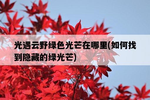 光遇云野綠色光芒在哪里，如何找到隱藏的綠光芒-圖1