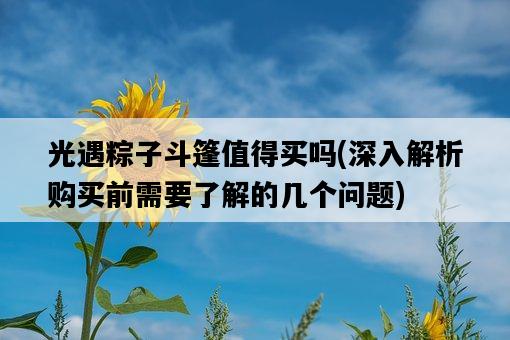 光遇粽子斗篷值得買嗎，深入解析購買前需要了解的幾個問題-圖1