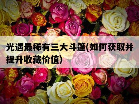 光遇最稀有三大斗篷，如何獲取并提升收藏價值-圖1