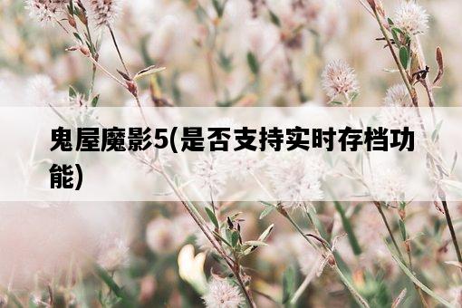 鬼屋魔影5，是否支持實時存檔功能-圖1