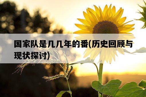國家隊是幾幾年的番，歷史回顧與現狀探討-圖1
