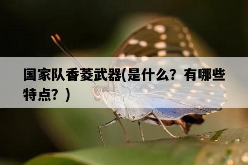 國家隊香菱武器，是什么？有哪些特點？-圖1