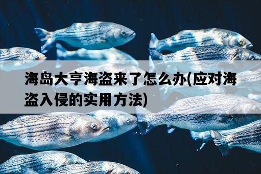 海島大亨海盜來了怎么辦，應對海盜入侵的實用方法-圖1