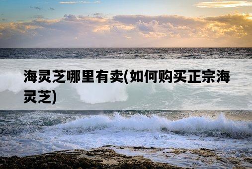 海靈芝哪里有賣，如何購買正宗海靈芝-圖1