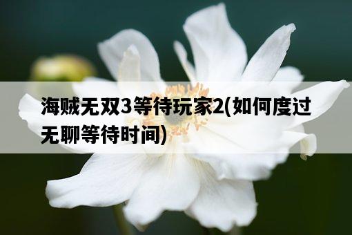 海賊無雙3等待玩家2，如何度過無聊等待時間-圖1