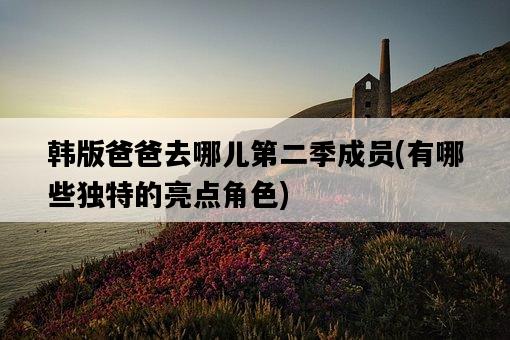 韓版爸爸去哪兒第二季成員，有哪些獨特的亮點角色-圖1